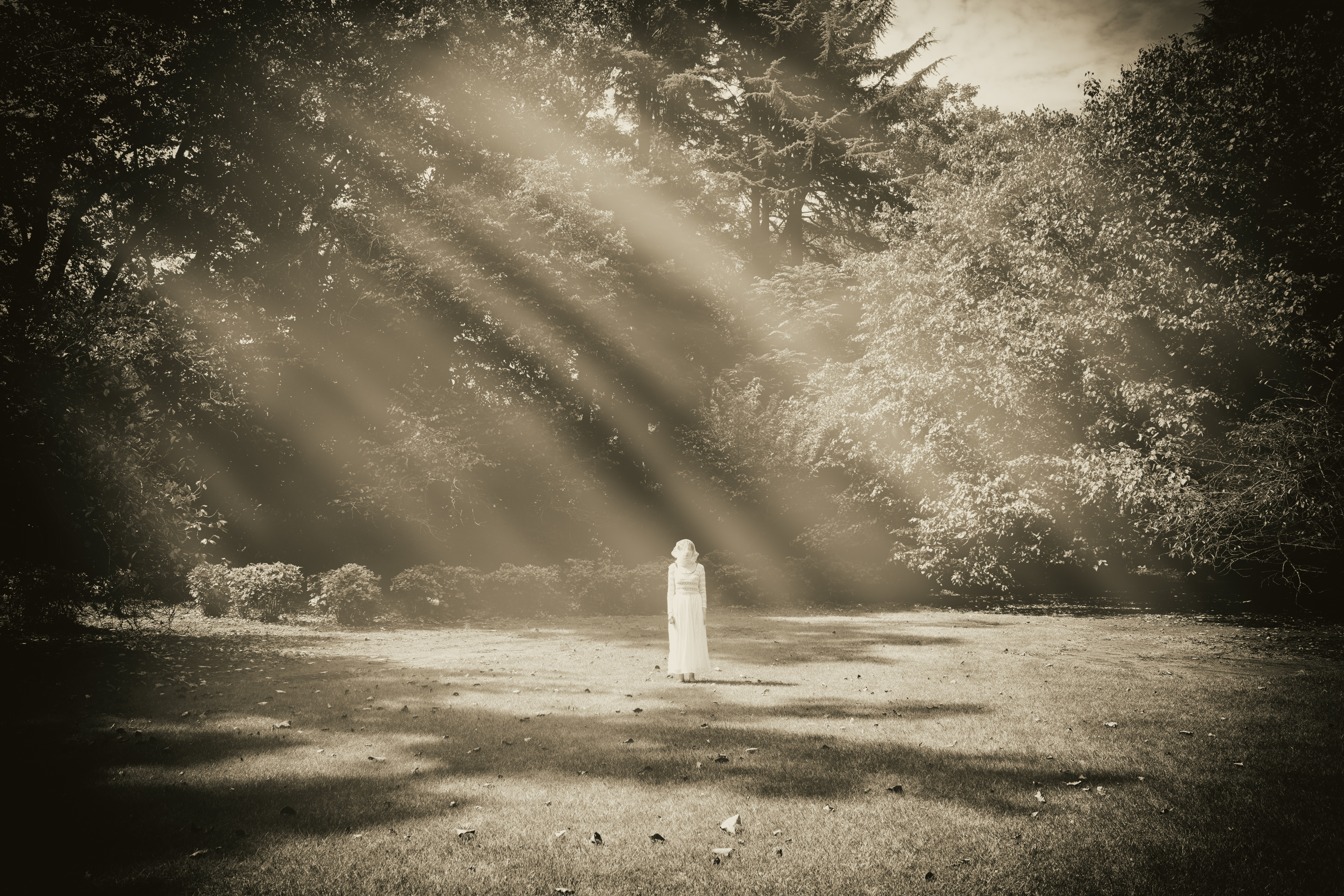 A ethereal scene of a figure in white standing in a sunlit forest clearing